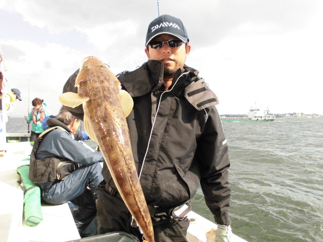 高級魚チャンス!