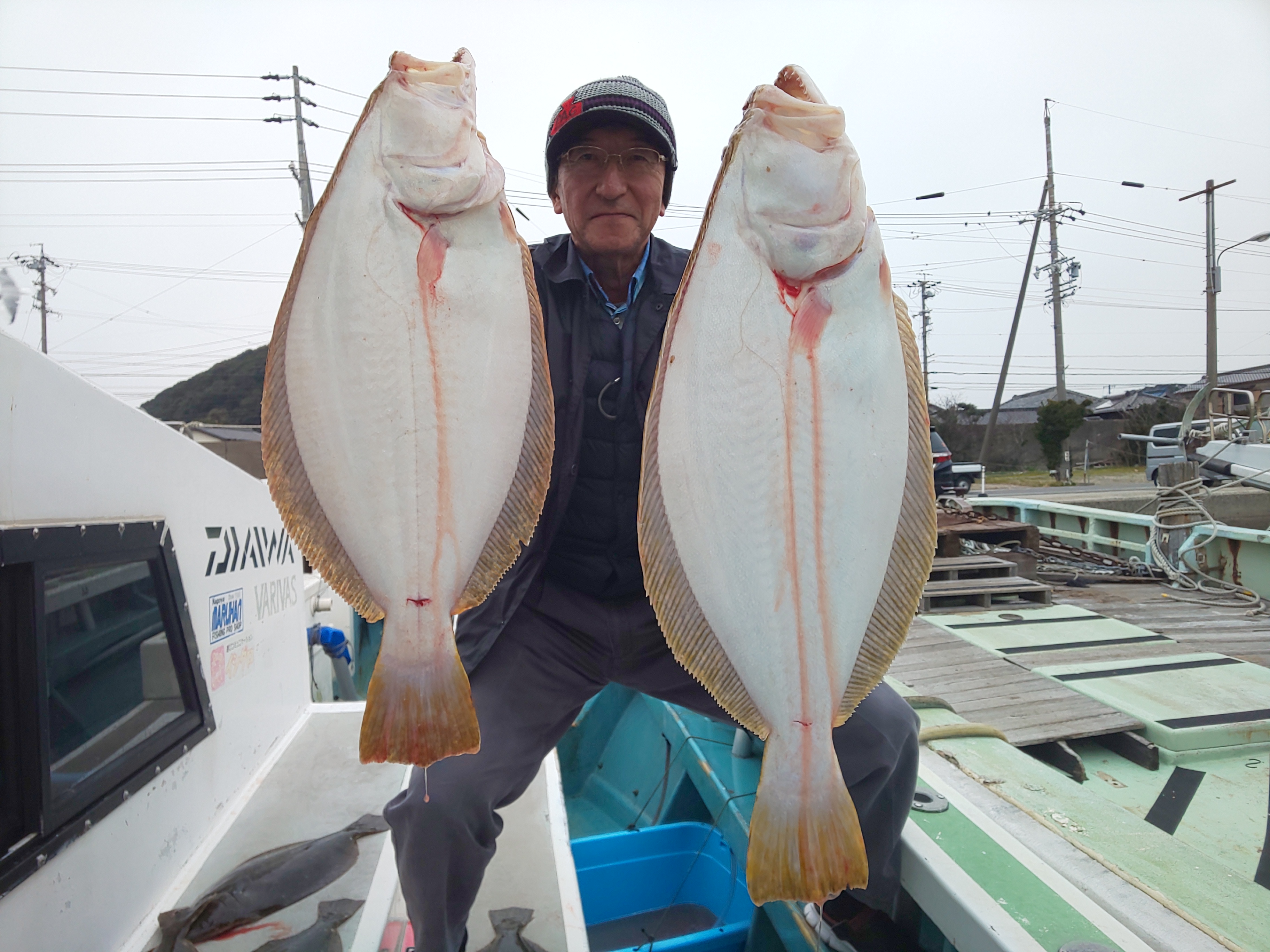 大型肉厚ヒラメ神経締め!