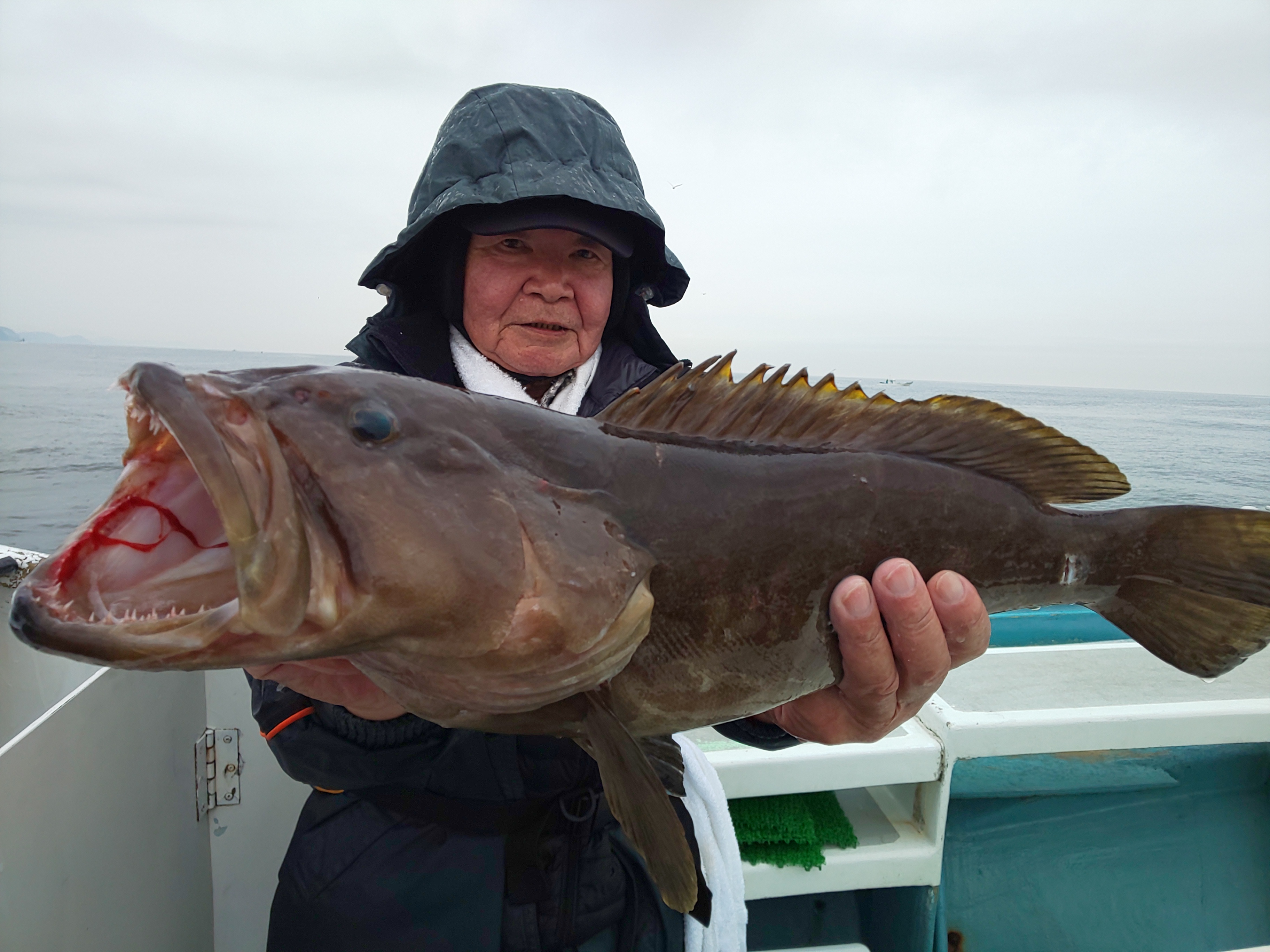 そして超高級魚のクエだー!