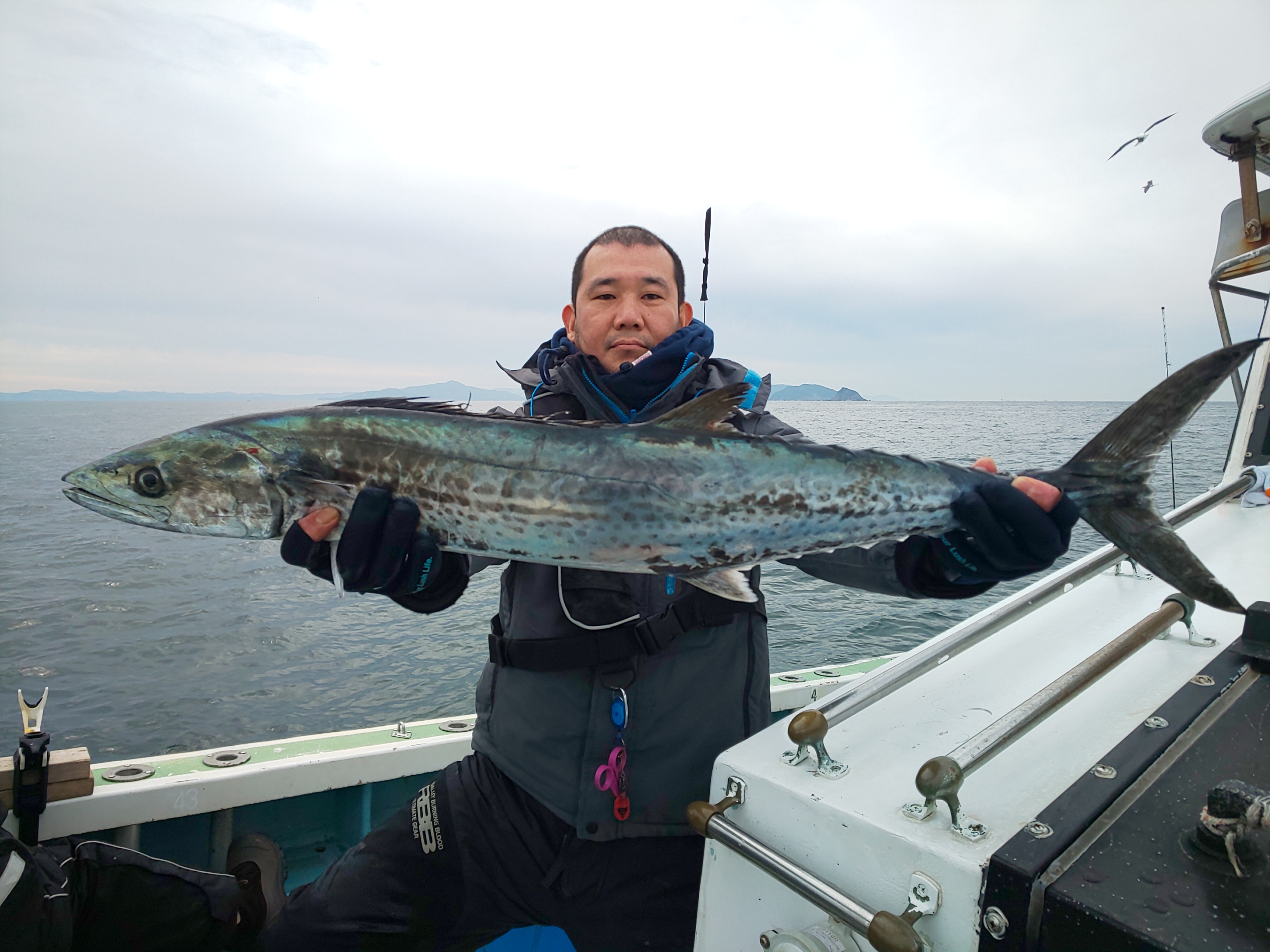 今日も大人気のサワラ登場!