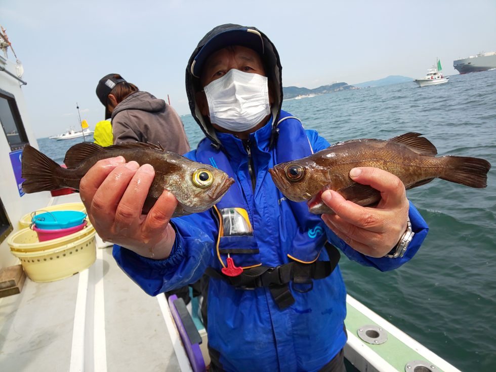 良いサイズ!