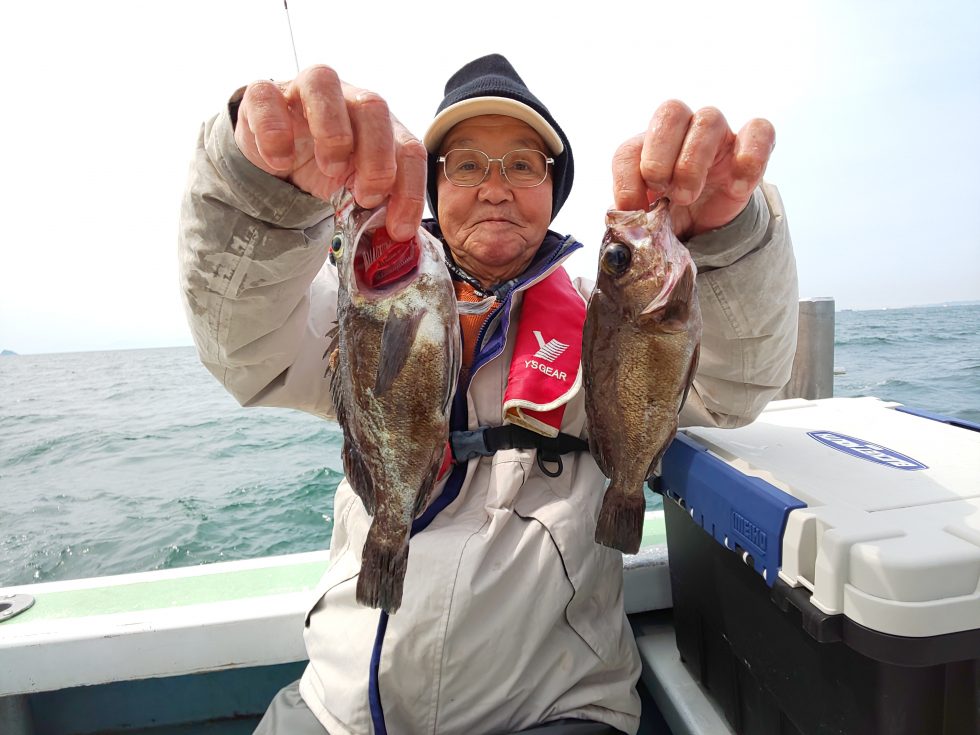 活きウタセエビでメバル!