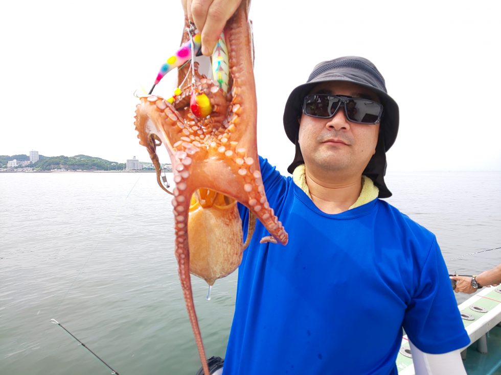 タコが凄い!