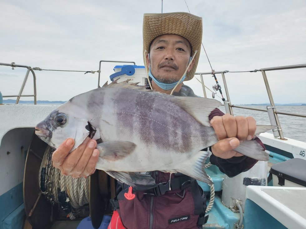 高級魚イシダイ!