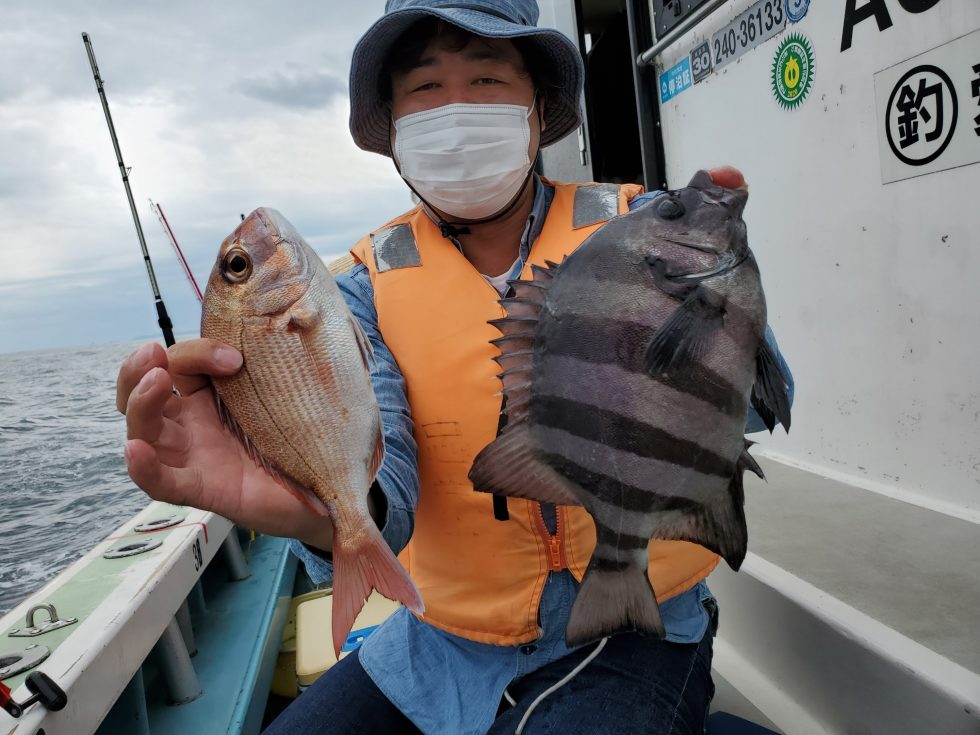 高級魚サンバソウ!