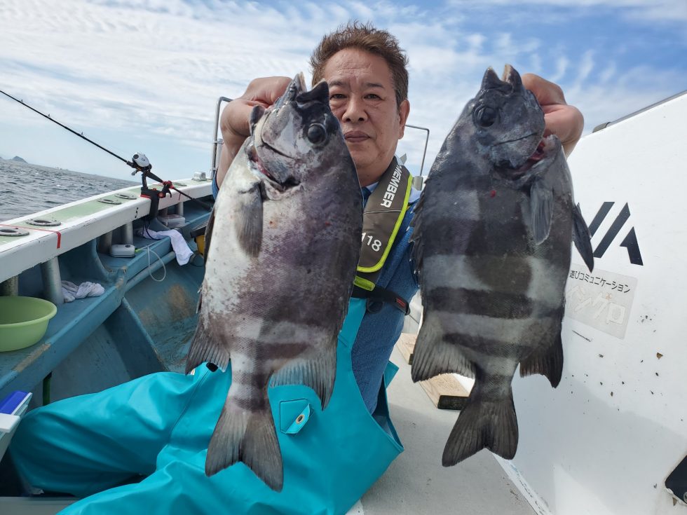 高級魚イシダイ!