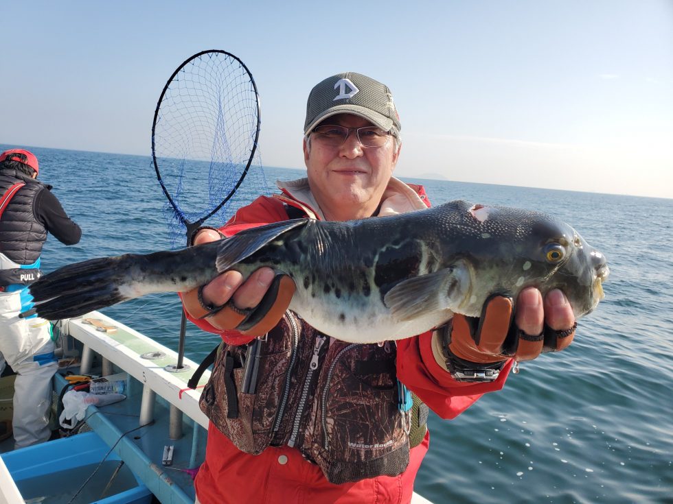 高級魚トラフグ!