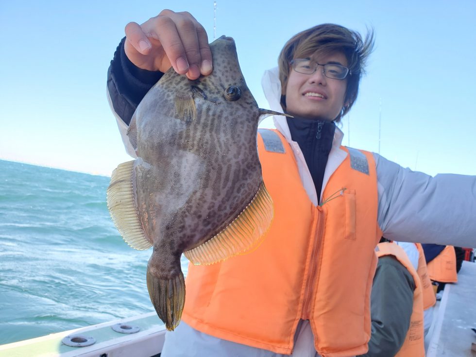 超特大32㎝肝パンカワハギ!