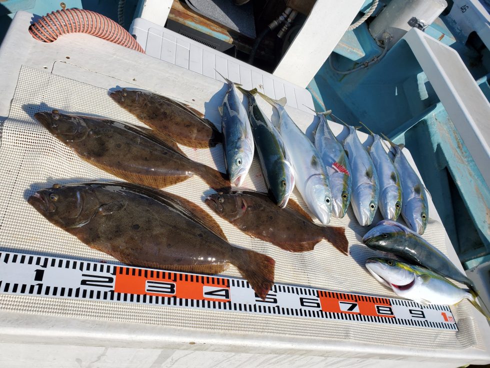 お一人分の釣果!