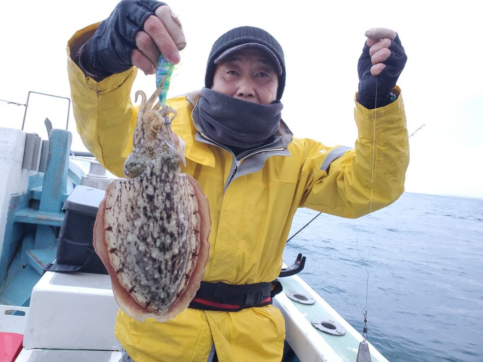 大型コウイカ全員キャッチだ!