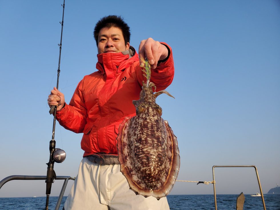 大型コウイカ乗った瞬間がたまらない!