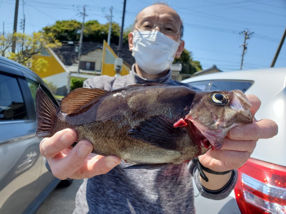明日も楽しみ!