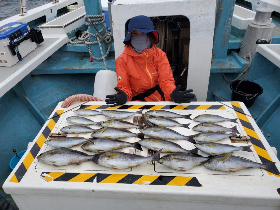 イサキ初挑戦で釣りまくり!写真は二人分ですが、ほぼ彼女が釣ってます。