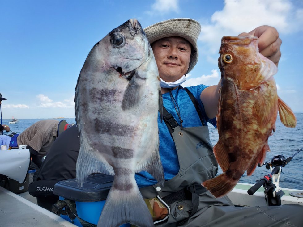 サンバソウ豪快です!