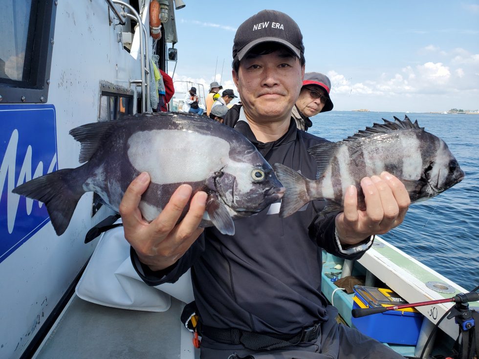 高級魚サンバソウ!