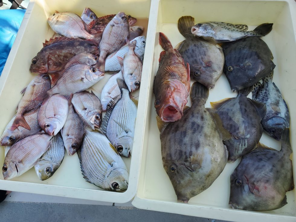 凄い釣果!
