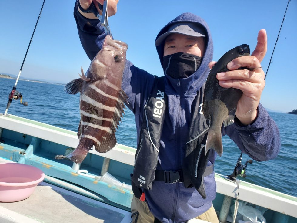 高級魚マハタ!