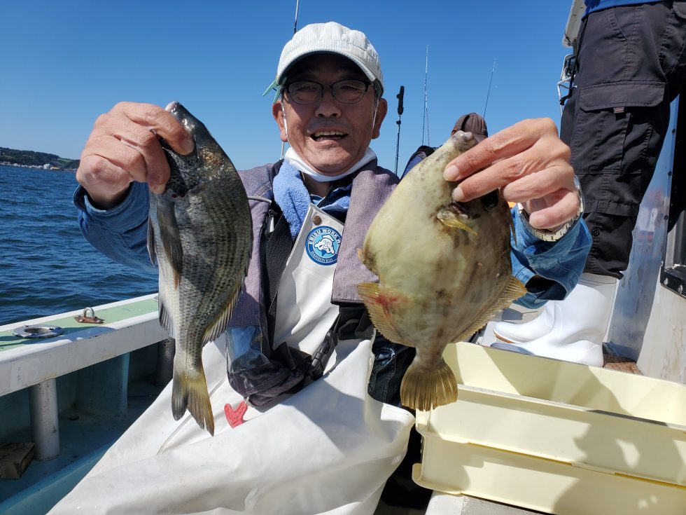 クロダイ&肝パン!