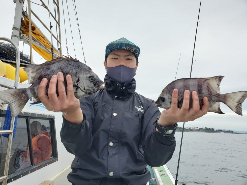 高級魚サンバソウ乱舞!