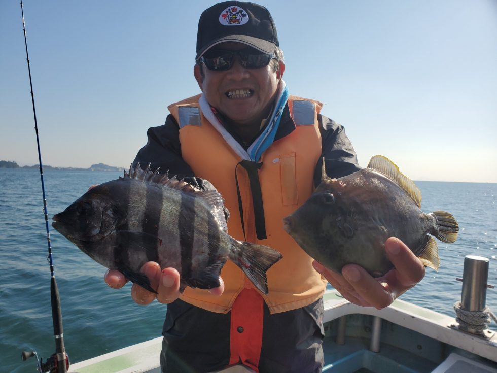 高級魚サンバソウが乱舞!