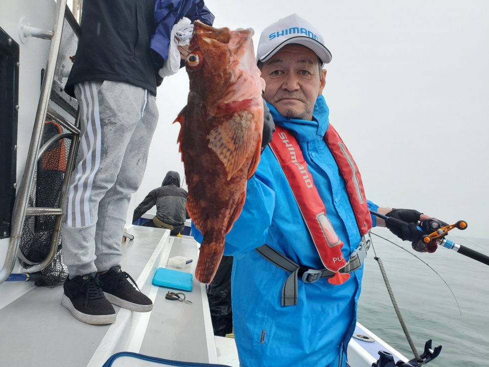 特大カサゴ!