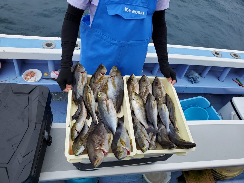 顔出しNGさん釣りまくりー!