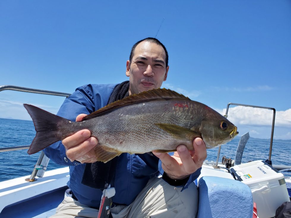 大山沖産、特大イサキ!