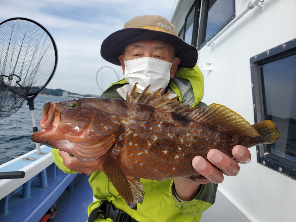 高級魚アズキマス!