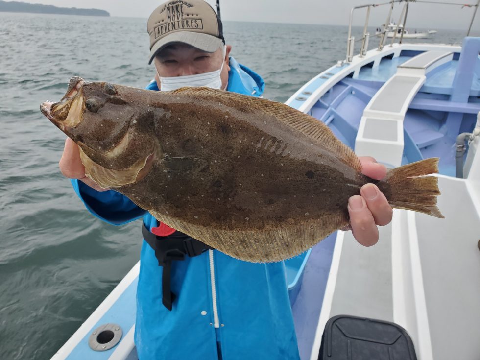 肉厚ヒラメ登場!