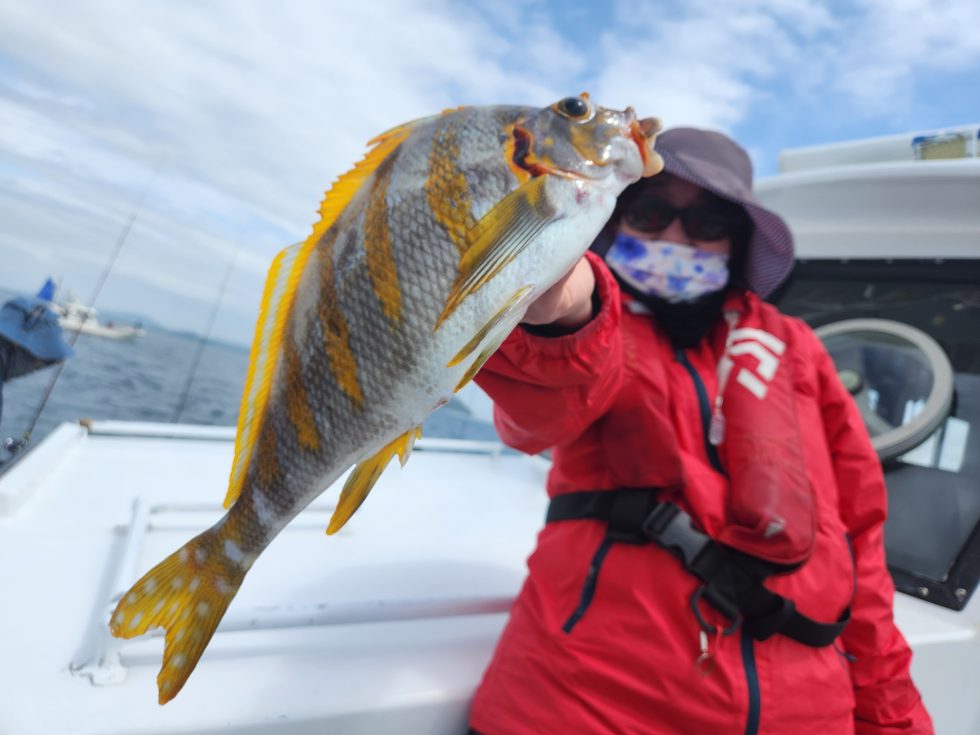 タカノハダイ続々ー!