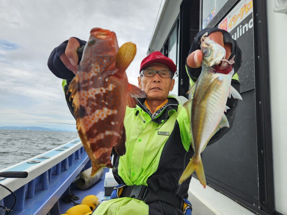 高級魚キジハタ！