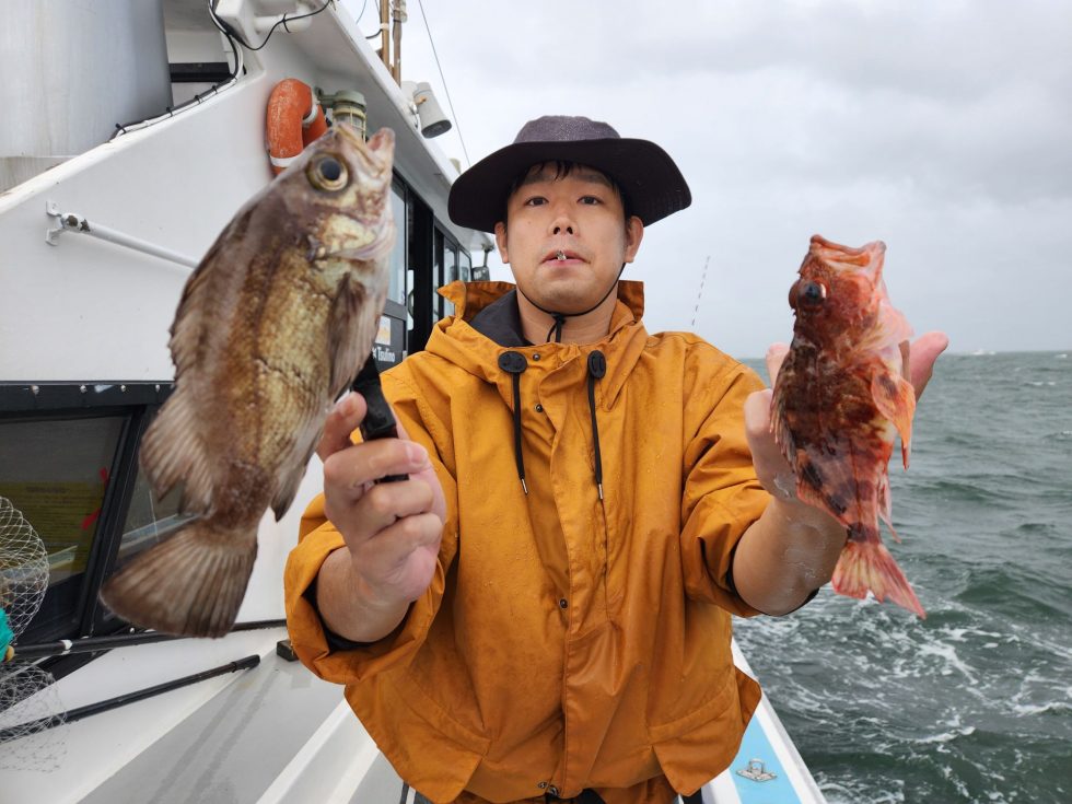 ウタセ五目釣りが面白い！