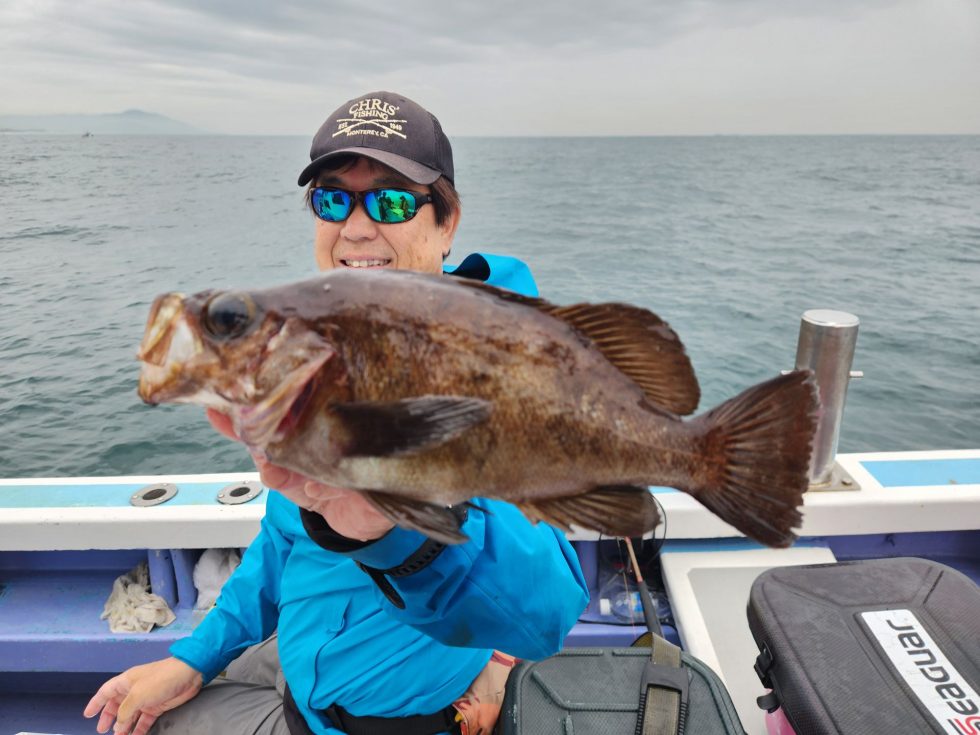 メバル！活きウタセエビで多彩な釣果