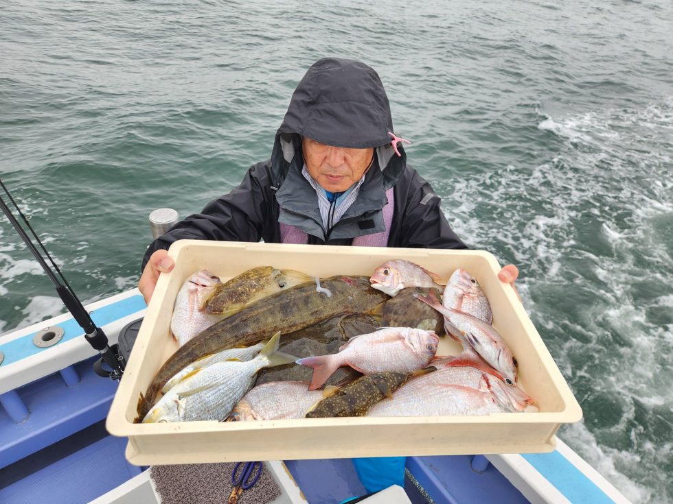 五目以上！小鯛、ヒラメ、マゴチ、コウイカ、ヘダイ、フグ、カワハギ！