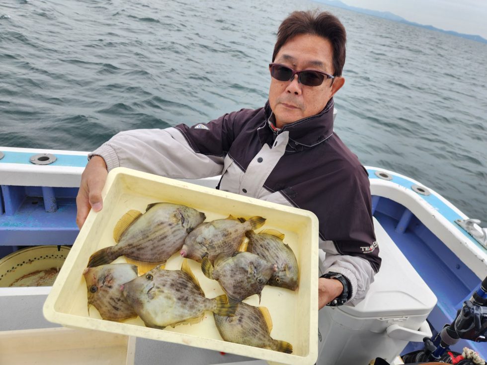 カワハギ釣りまくり！明日もウタセ五目、テンタチ専門、出船確定しました！