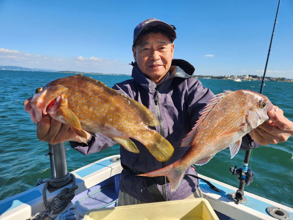 港前高級魚キジハタ！