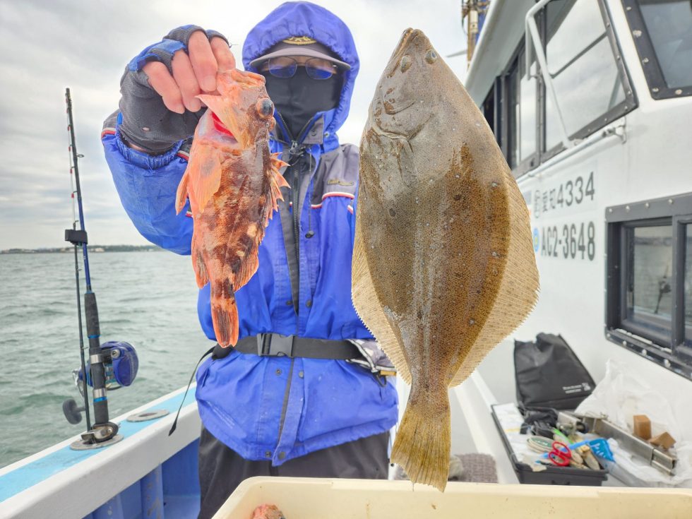 ヒラメゲットー！中旬以降活きイワシ泳がせ釣り出船！