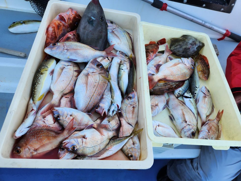 多彩な釣果に大満足！