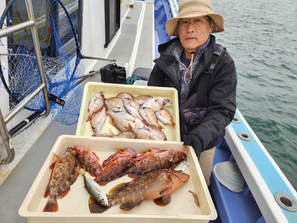 高級魚キジハタ嬉しいですね