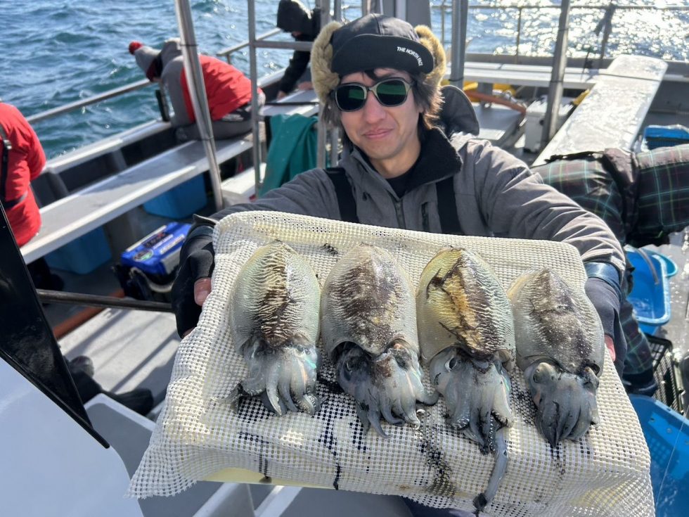 コウイカ釣り順調ー!第十一忠栄丸