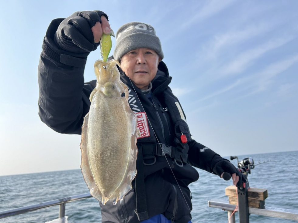 旬のコウイカが楽しめますよ！