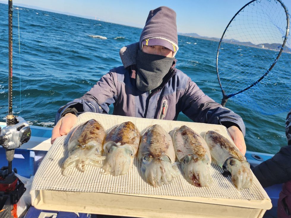 旬のコウイカ出船中！