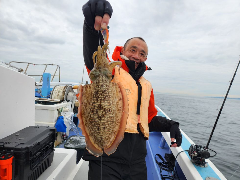 凄いサイズです！