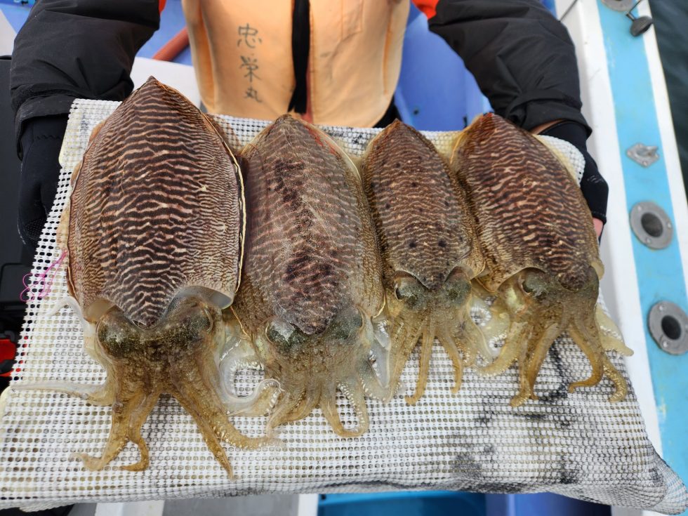 重量感が凄いですよ