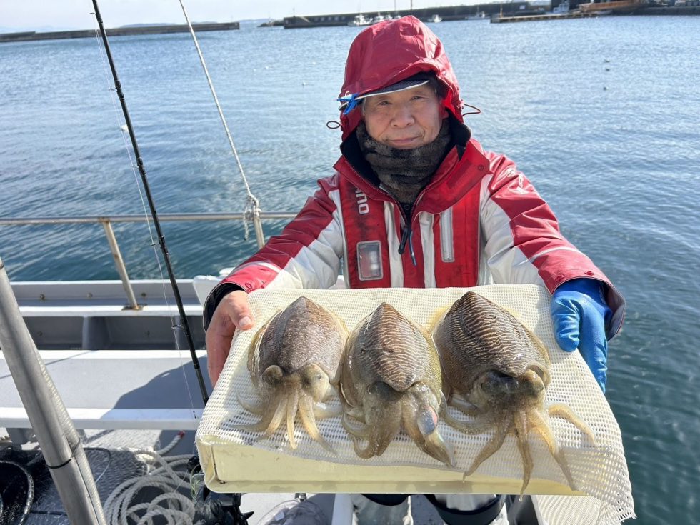 肉厚コウイカぼこぼこ！