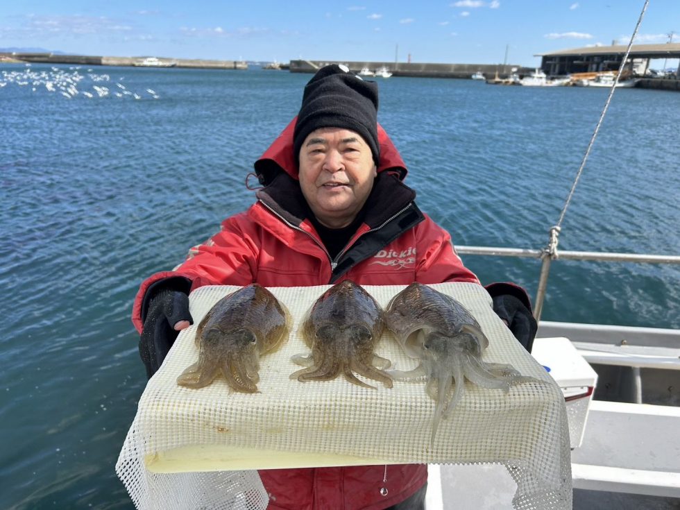 大型化ですよ！