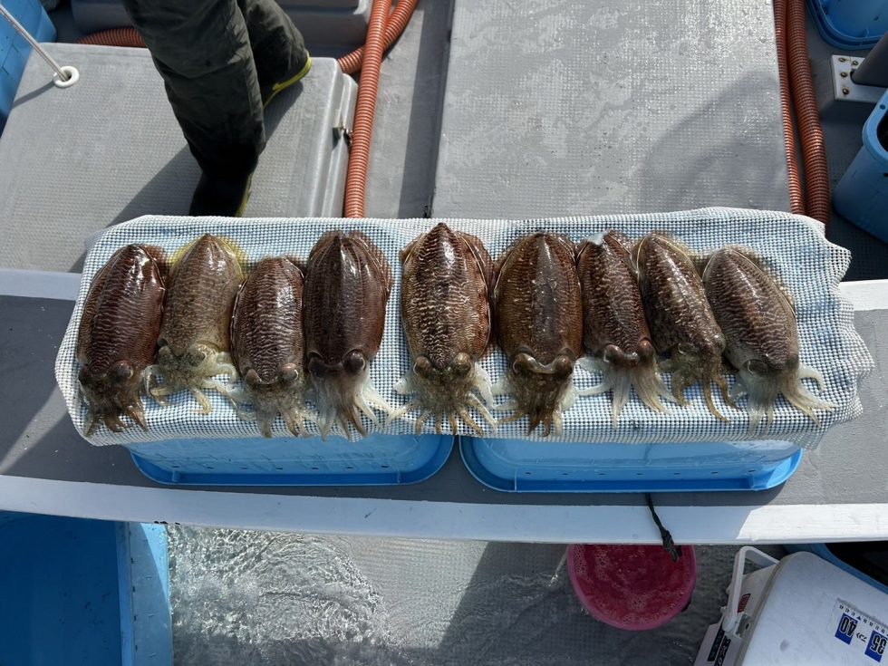 大チャンス到来中！