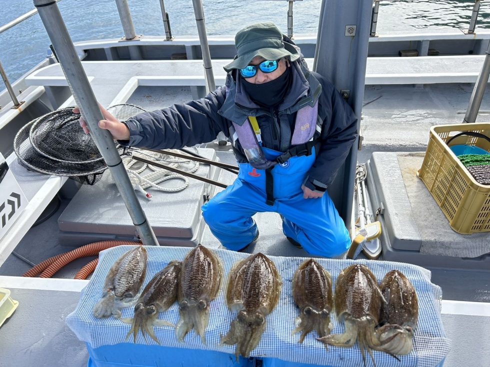 高級コウイカ！