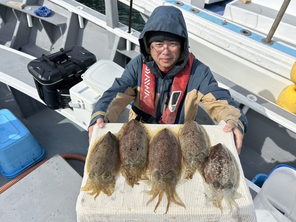 絶品コウイカ絶好調！