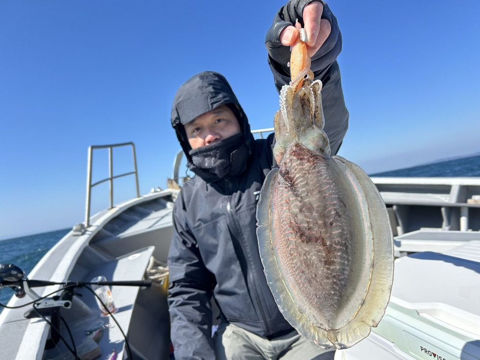 今週は暖かい日になるみたいですよ！